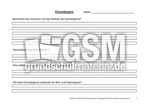 Arbeitsblatt-Kanadagänse-2.pdf